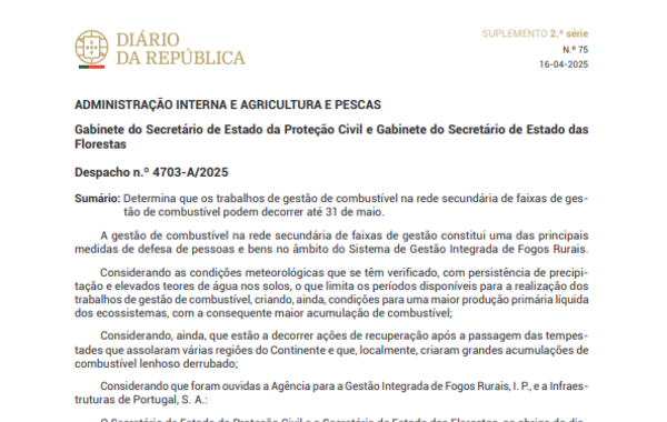 captura_de_ecra_2025_04_21_111800_68061d1f34b46