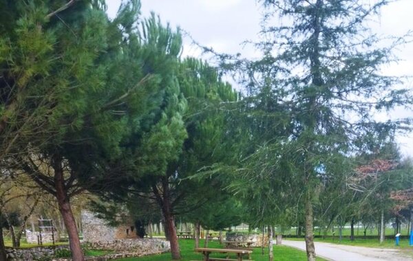 481669246_1071640021674249_3555578652188320035_n_67c97842483c5