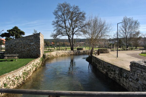 dsc_0062_5ea97d92dbe3a