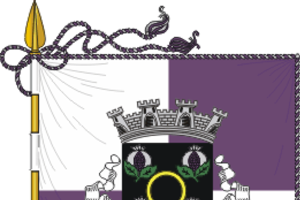 bandeira_ansiao_57a1cbd8819c6