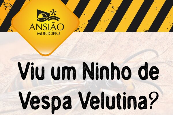 ninho_01_6633a45bd10eb