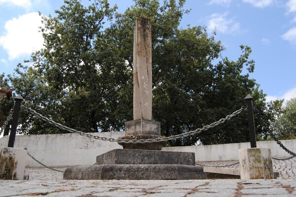 dsc_2212_5ea009489dff0