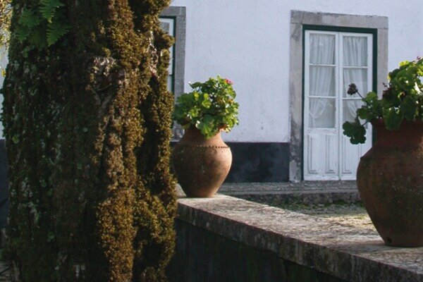 quinta_de_cima_2_4e42a0353a979