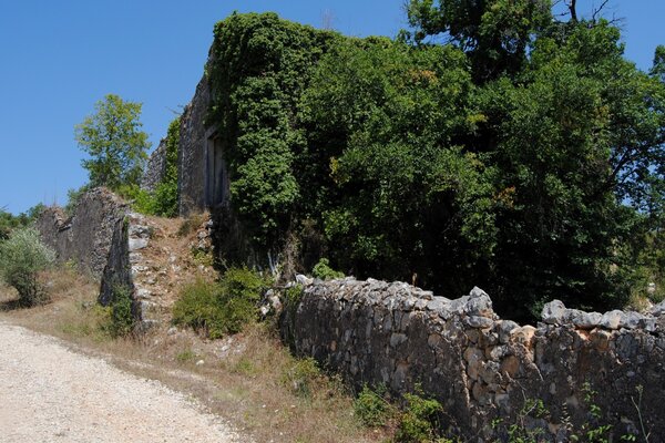 dsc_1039_5ea04d4348f11