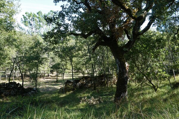 dsc06982_5ea2af7120018