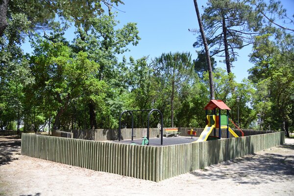 sid_cma_55_00055_5ebab6de483cc