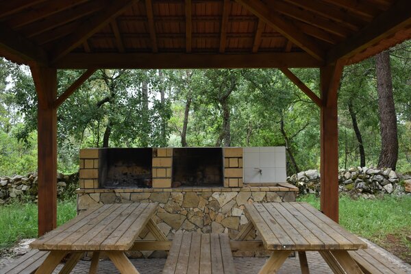 dsc_0009_5eb7dc07dff74