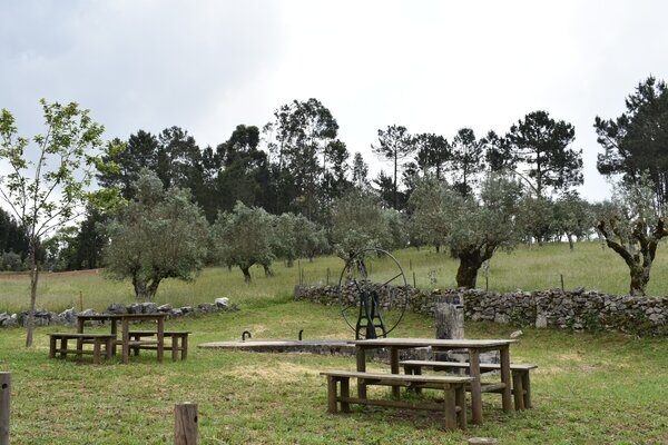 dsc_0102_5eb7dfd318139