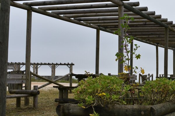 dsc_0044_1_5eb924ebc4aea