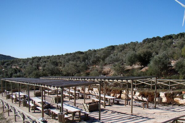 parque_merendas_anjo_da_guarda_5ebab4b9e2e6b