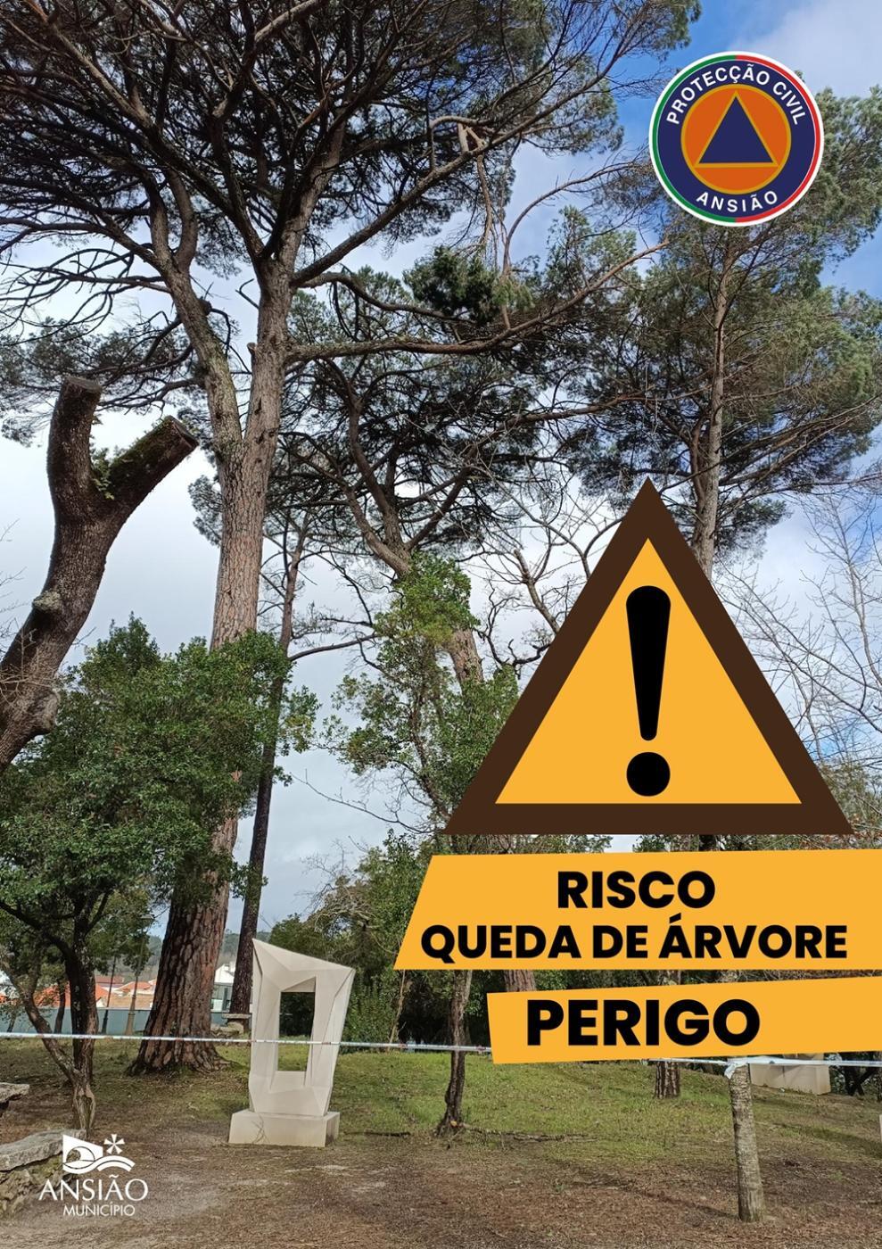 AVISO - PERIGO QUEDA DE ÁRVORE