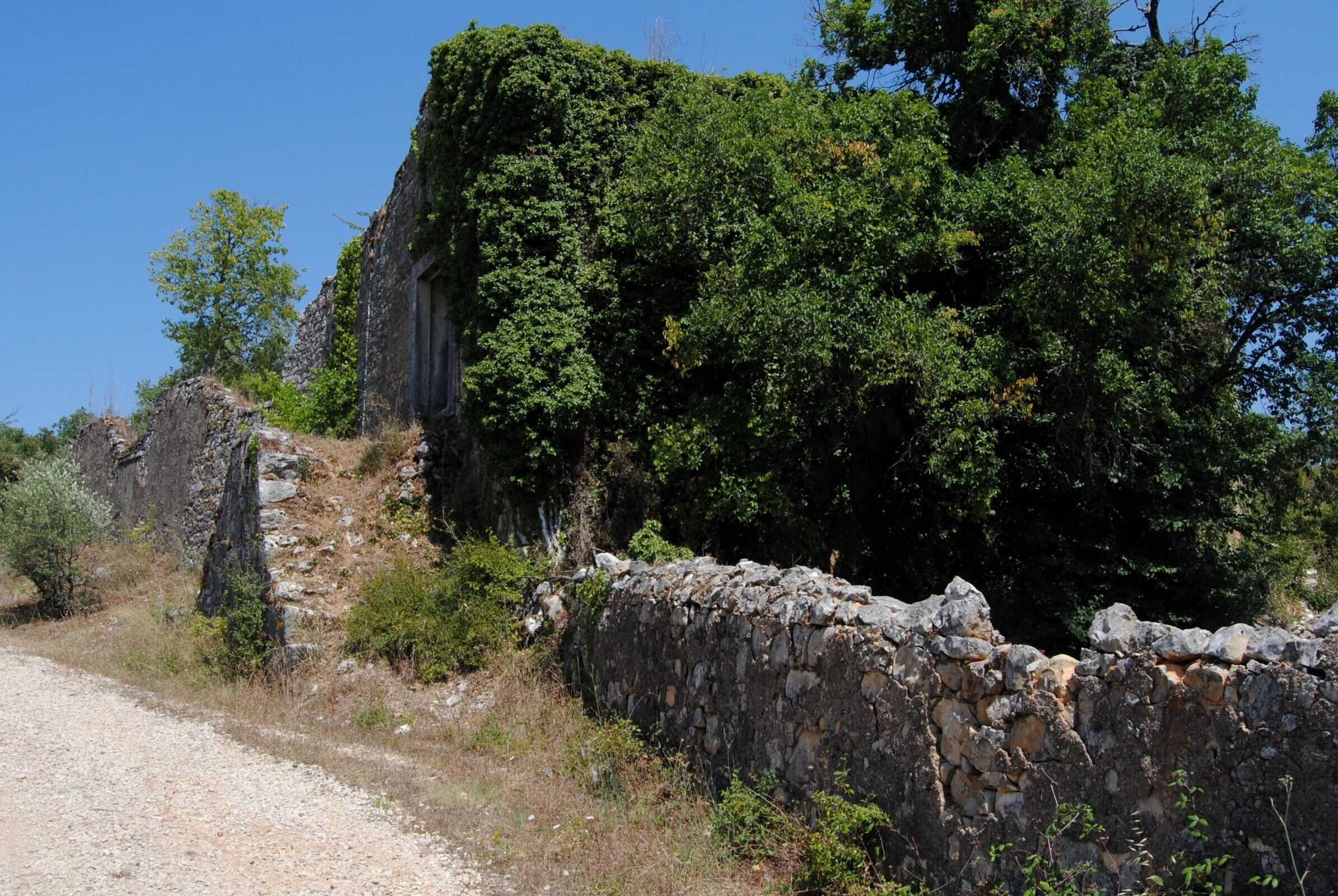 Ruínas da Torre da Ladeia
