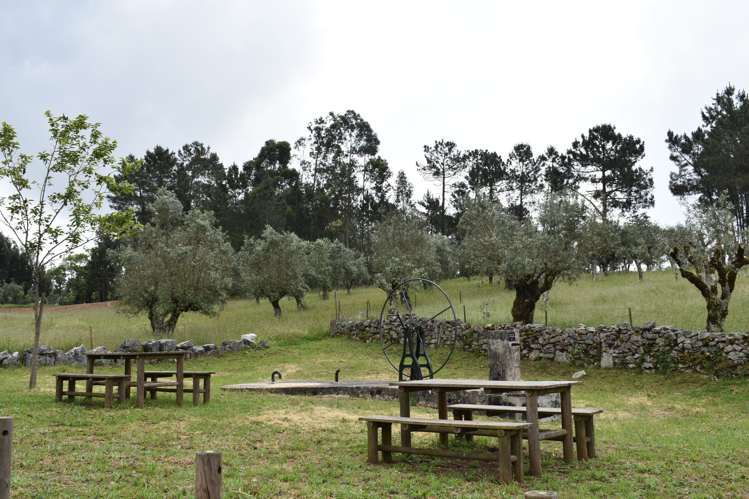Parque de Merendas da Charneca do Alvorge