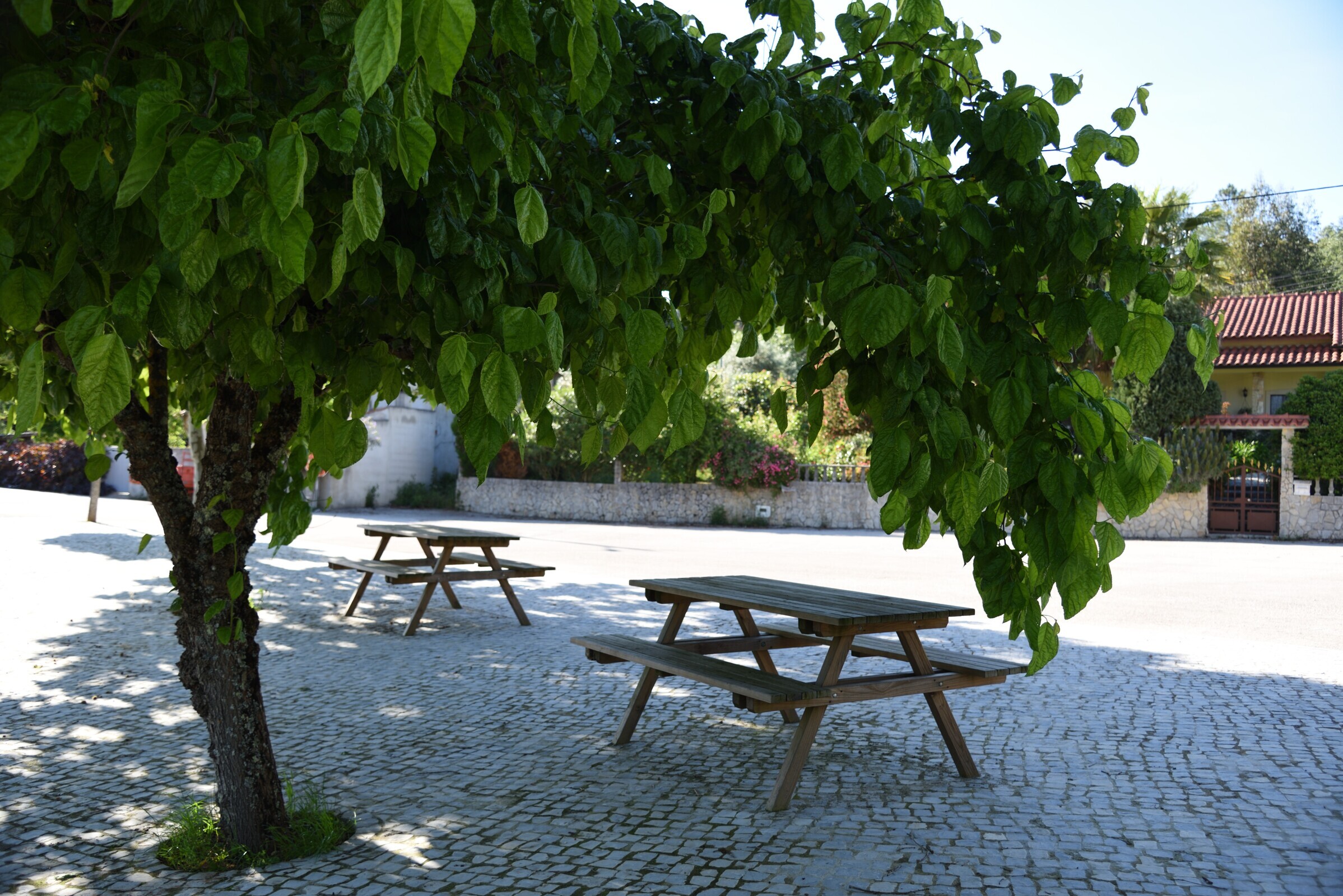 Parque de Merendas da Urjariça