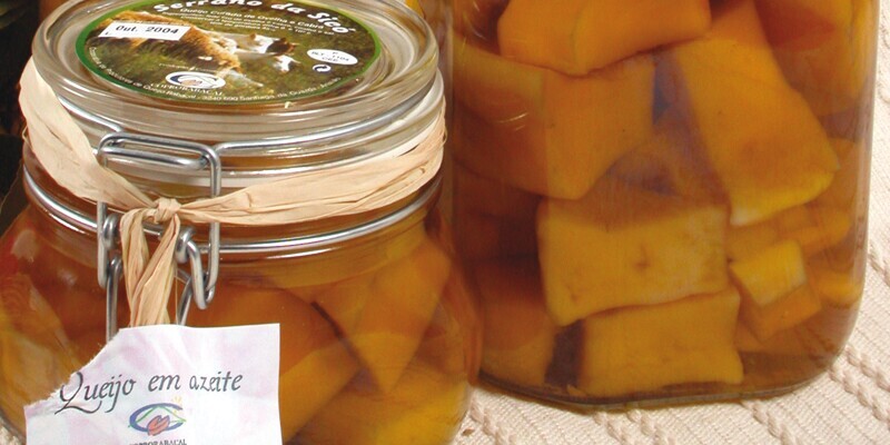 Queijo Rabaçal em Azeite