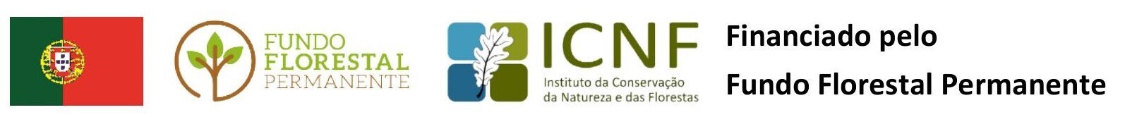 Publicita&ccedil;&atilde;o